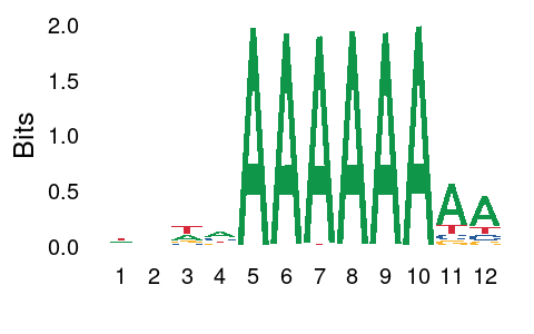 61ciqaZ8M3L._UF894,1000_QL80_.jpg